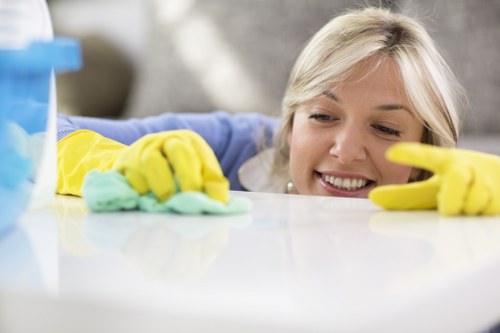 Cleaning stubborn stains on carpet and upholstery