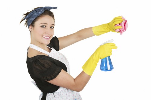 Routine vacuuming and maintenance for area rugs
